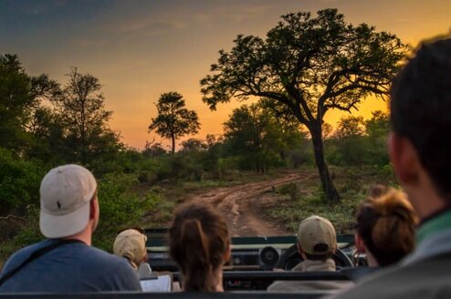 group of volunteers going for a safari ride in South Africa